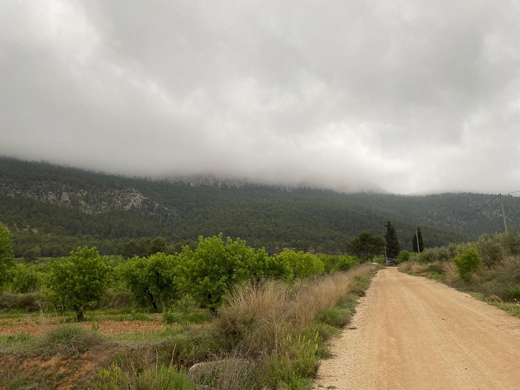 Fotos de la ruta